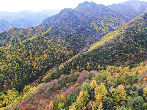 航拍秦岭分水岭秋景210国道