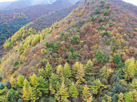 航拍秦岭分水岭秋景210国道