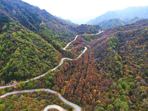 航拍秦岭分水岭秋景210国道