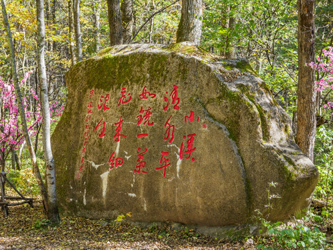 伊春上甘岭溪水国家森林公园