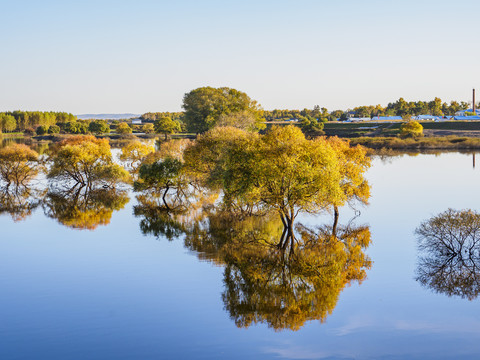 黑河公别拉河湿地