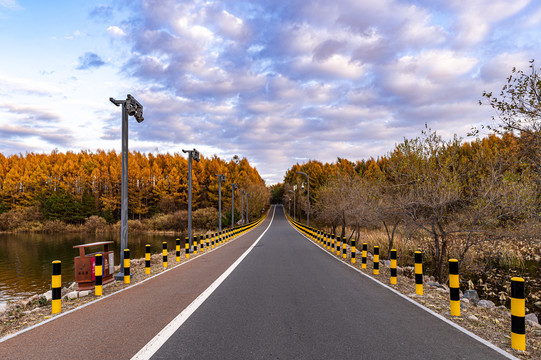 长春净月潭国家森林公园秋季风景