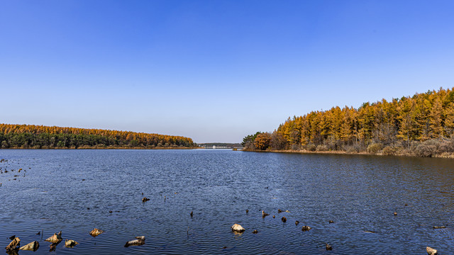 长春净月潭国家森林公园秋季风景