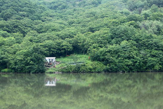 绿水青山