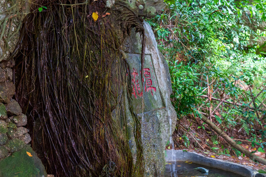 桂平西山风景名胜区龙潭