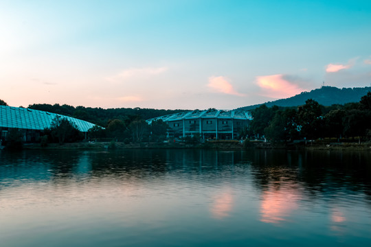 晚霞中的南京中山植物园