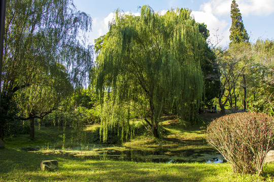 大自然风景