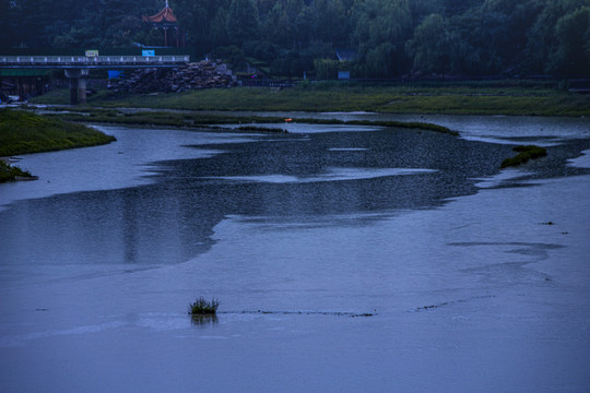 雨中即景郑州西柳湖