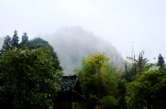 乡村重庆酉阳车田村