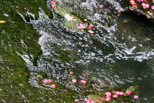 落花流水