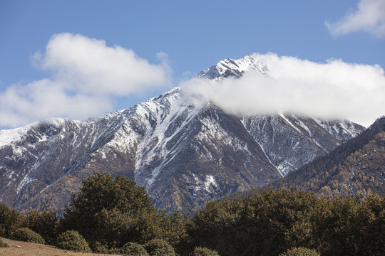 四姑娘山