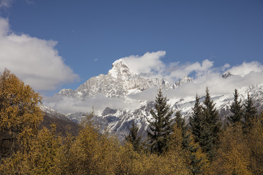 四姑娘山