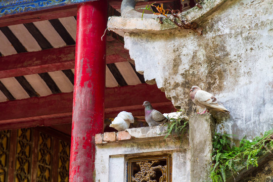 桂平西山风景名胜区白鸽