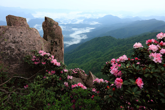 南江光雾山主峰