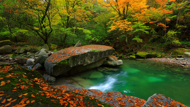 光雾山景区