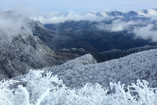 光雾山景区香炉山