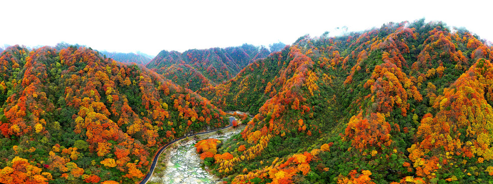 光雾山红叶