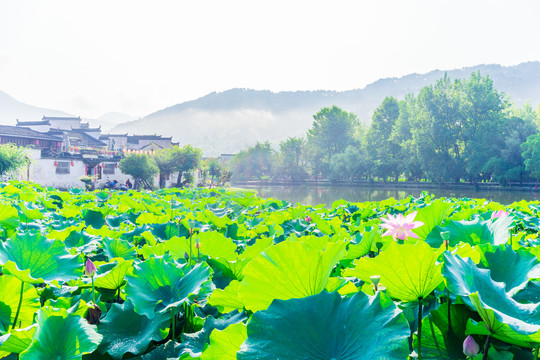 水墨宏村