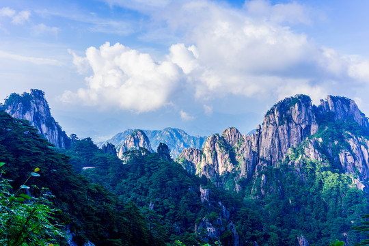 黄山风光