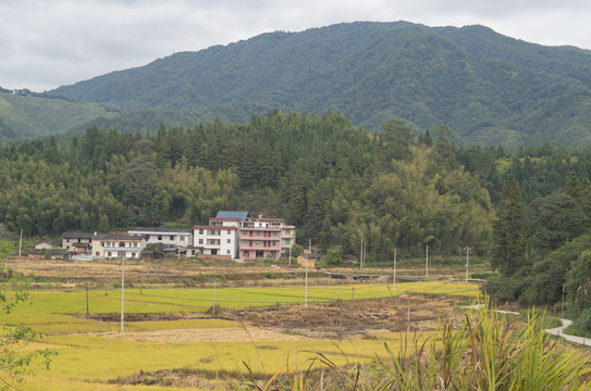 山区田园