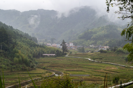 高山田园