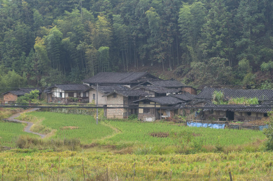 老木屋