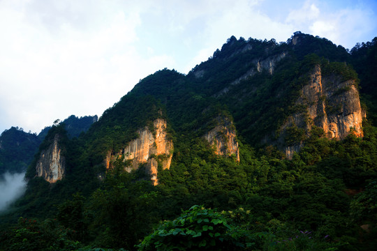 光雾山景区桃园