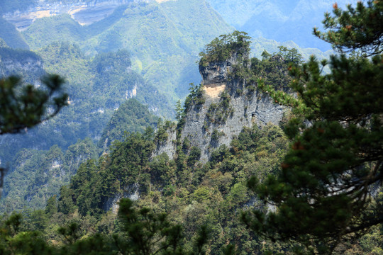 光雾山景区桃园