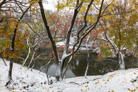 颐和园雪景