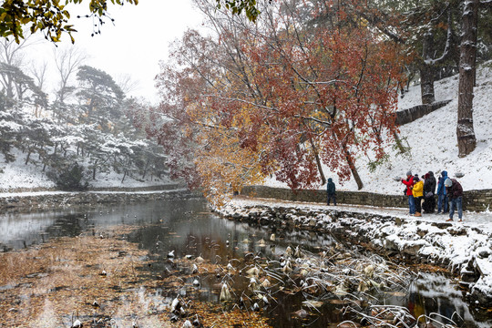 颐和园雪景