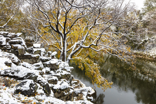 颐和园雪景