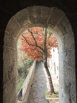 大峰山