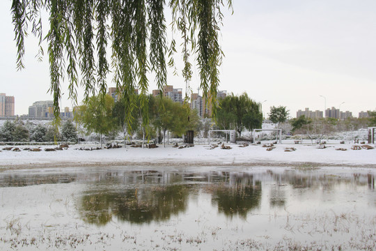 冬季初雪湿地公园