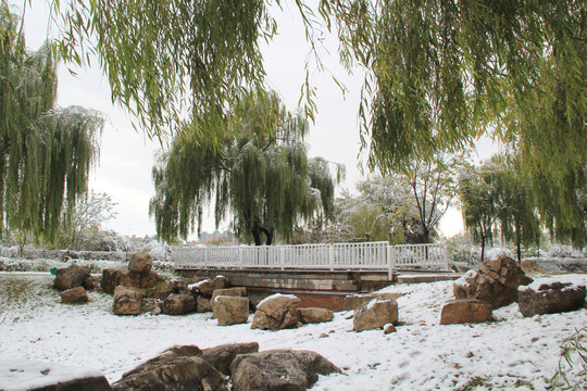 立冬初雪雪景公园