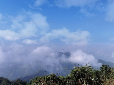 深圳梧桐山