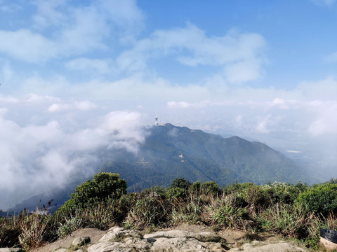 深圳梧桐山