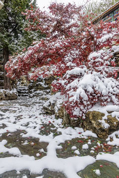 北京雪景