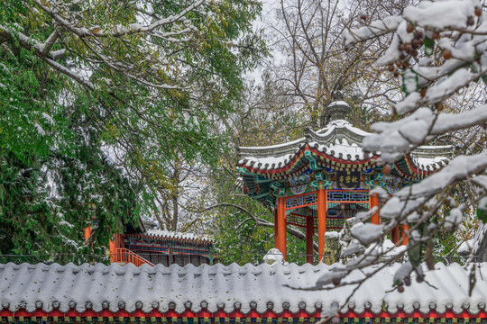 北京雪景