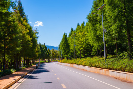 乡村公路