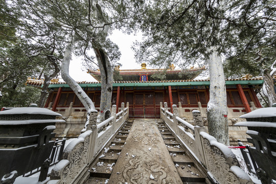 雪中的北京故宫御花园钦安殿