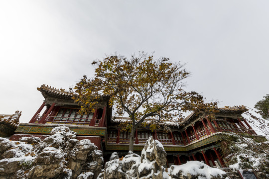 雪中的北京故宫御花园养性斋