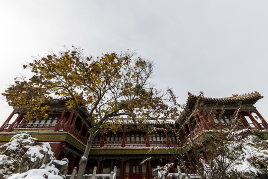 雪中的北京故宫御花园养性斋