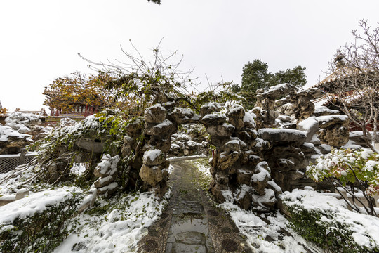 北京故宫御花园雪景