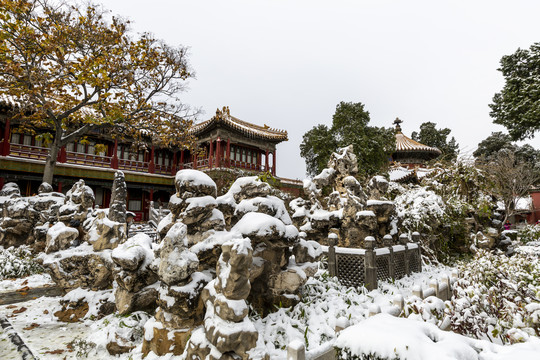 北京故宫御花园雪景