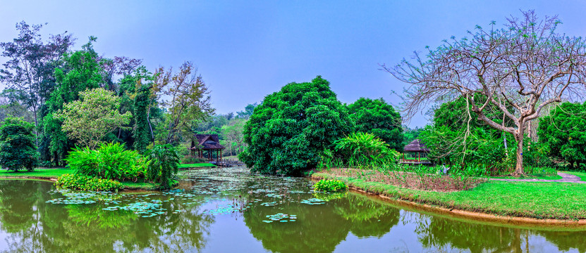 西双版纳热带植物园