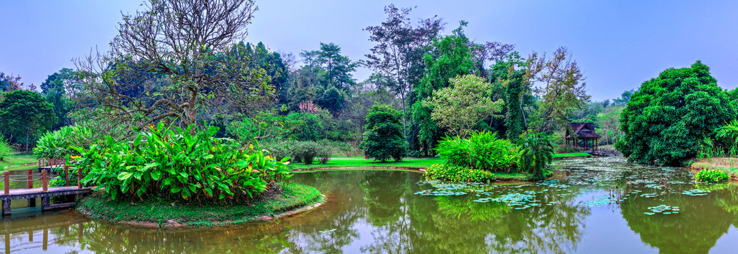 西双版纳热带植物园