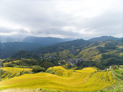 龙脊风景名胜区金坑红瑶梯田风光