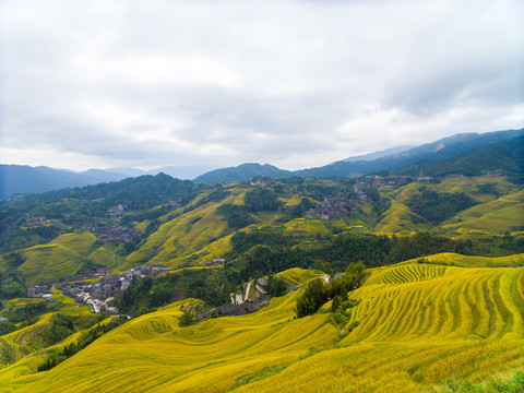 龙脊风景名胜区金坑红瑶梯田风光