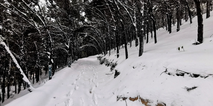 林海雪原