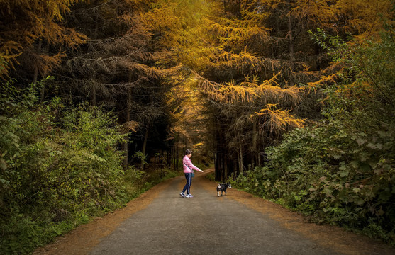 一个女人和她的狗在森林里徒步